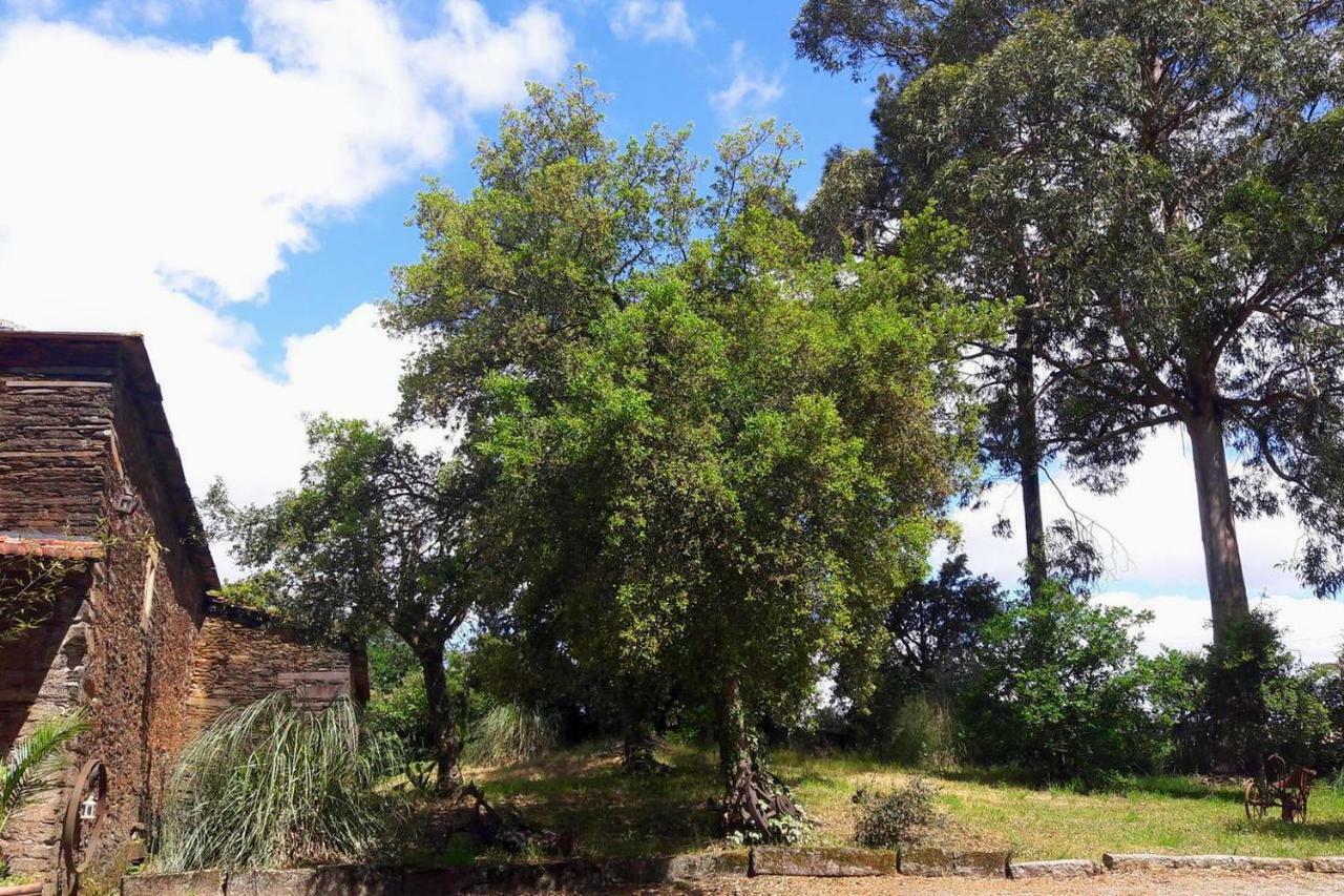Porto Natura House Valongo  Buitenkant foto